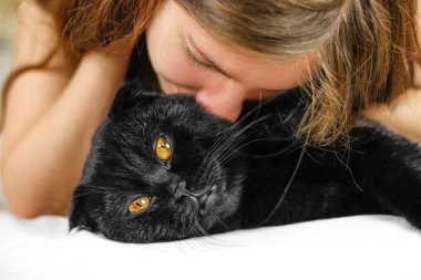 Genç güzel kız ve siyah İskoç fold kedi