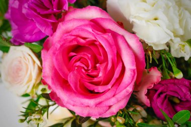 Pembe gül. Güzel, parlak yakın kadar çiçek