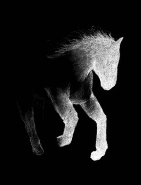 Çalışan at. Siyah kağıt üzerinde beyaz boya kalemi ile boyalı. El-d