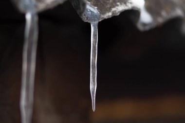 Buz saçakları eski çatıda asılı. Kapat.