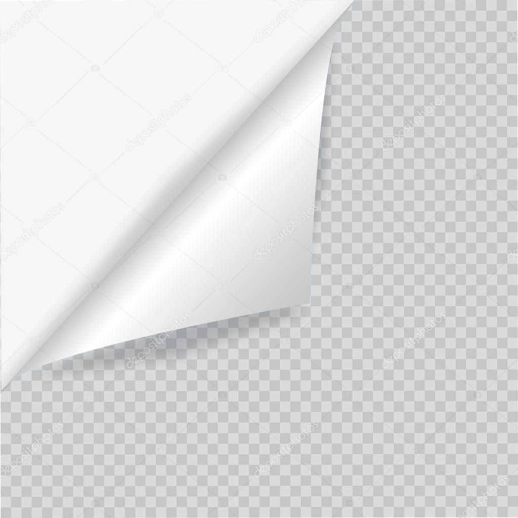 Blank sheet of paper with page curl and shadow, design element for advertising and promotional message isolated on white background. EPS 10 vector illustration.