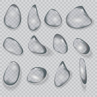 Saf berrak su damlaları izole edilmiş vektör çizimi