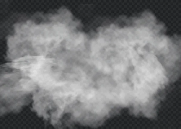 Niebla o humo aislado efecto especial transparente. Nubosidad del vector blanco, niebla o fondo de niebla. Ilustración vectorial — Archivo Imágenes Vectoriales