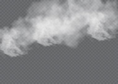 Sis ya da duman izole edilmiş şeffaf özel efekt. Beyaz vektör bulanıklığı, sis veya sis arkaplanı. Vektör illüstrasyonu