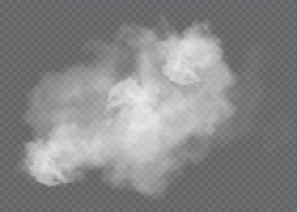 Sis ya da duman izole edilmiş şeffaf özel efekt. Beyaz vektör bulanıklığı, sis veya sis arkaplanı. Vektör illüstrasyonu