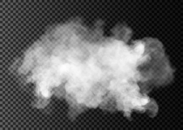 Fog or smoke isolated transparent special effect. White vector cloudiness, mist or smog background. — Stock Vector