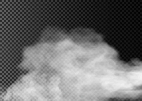 Niebla o humo aislado efecto especial transparente. Nubosidad vectorial blanca, niebla o fondo de niebla. — Vector de stock