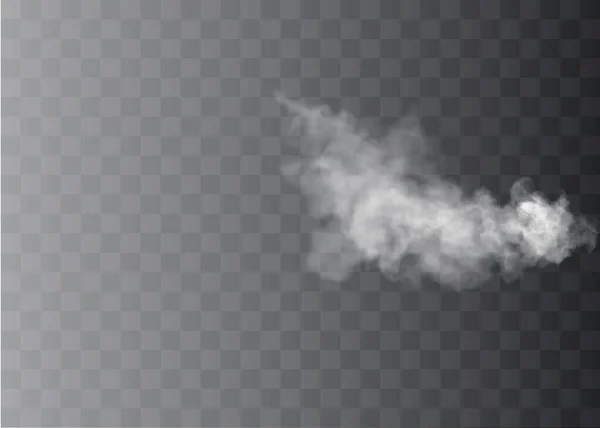 El efecto especial transparente se destaca con niebla o humo. Nube blanca vector, niebla o smog. — Archivo Imágenes Vectoriales