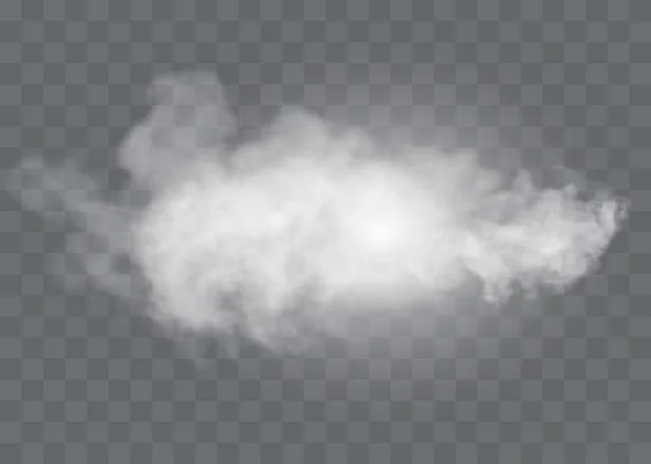 El efecto especial transparente se destaca con niebla o humo. Nube blanca vector, niebla o smog. — Archivo Imágenes Vectoriales