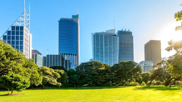 Área de grama pública em Royal Botanic Gardens, Sydney — Fotografia de Stock