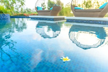 Fangipani Çiçeği bir tatil köyü havuzunda yüzüyor. Arka planda gündüz yatakları ve bahçe var. Sabah güneşinde parlıyor.