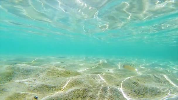 Onderwater Slow Motion Rimpel Effect Met Zandbodem Kleine Vissen Zwemmen — Stockvideo