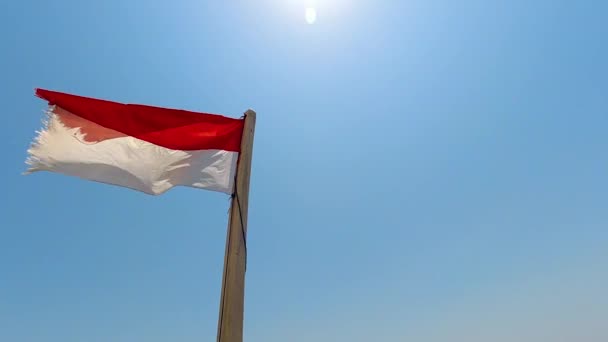 Indonesian Flag Flying Waving Wind Slow Motion Footage Independence Patriotism — Stockvideo