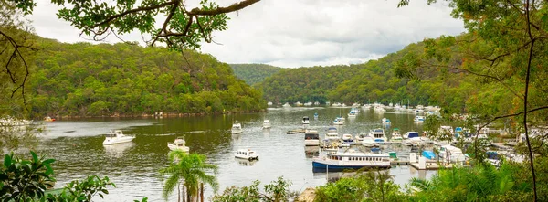 Vista Panorâmica Paisagem Berawa Creek Nos Subúrbios Norte Sydney Com — Fotografia de Stock