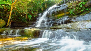 Rainforest waterfall cascading over the rocks into a shallow stream - summer / nature and outdoors concept image.