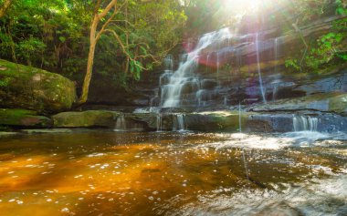 Rainforest waterfall cascading over the rocks into a shallow stream - summer / nature and outdoors concept image.