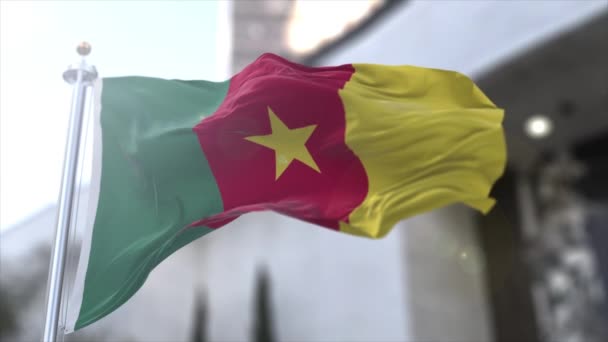 4k Flag of Cameroon — стокове відео