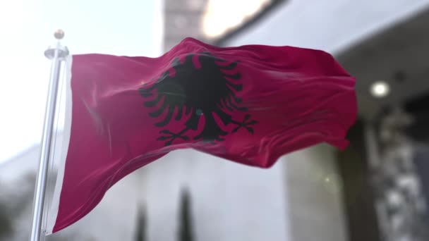 アルバニアの旗 アルバニア語 Flamuri Shqipris 中央に黒い双頭の鷲が描かれた赤い旗である 赤は勇気 価値を表し 双頭ワシはアルバニアの主権国家を表します — ストック動画