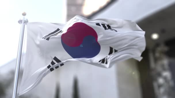 Bandeira Coreia Sul Bandeira Coreia Sul Também Conhecida Como Taegukgi — Vídeo de Stock