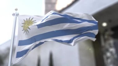 Uruguay bayrağı (İspanyolca: Pabelln Nacional), Artigas bayrağı ve Treinta y Tres bayrağıyla birlikte Uruguay 'ın üç resmi bayrağından biridir..