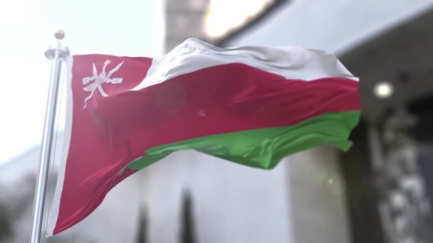 Bendera Nasional Oman Terdiri Dari Tiga Garis Putih Hijau Dan — Stok Video