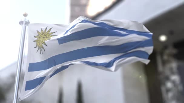Uruguays Nationella Flagga Spanska Pabelln Nacional Tre Officiella Flaggorna Uruguay — Stockvideo