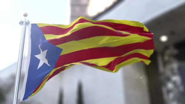 Senyera Catalan Oriental Signifiant Pennon Bannière Enseigne Généralement Drapeau Catalan — Video