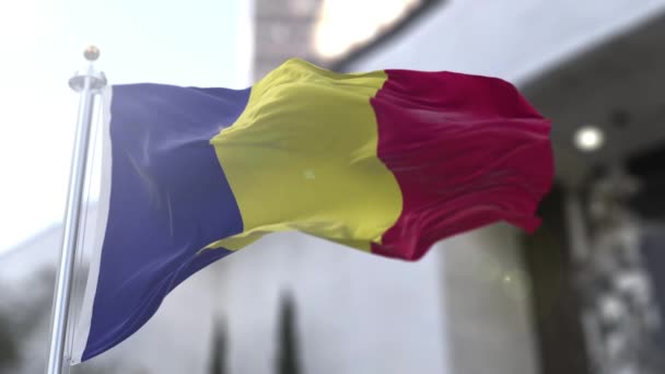 Videoslinga Rumäniens Nationella Flagga Rumäniens Drapelul Romniei Tricolor Med Vertikala — Stockvideo