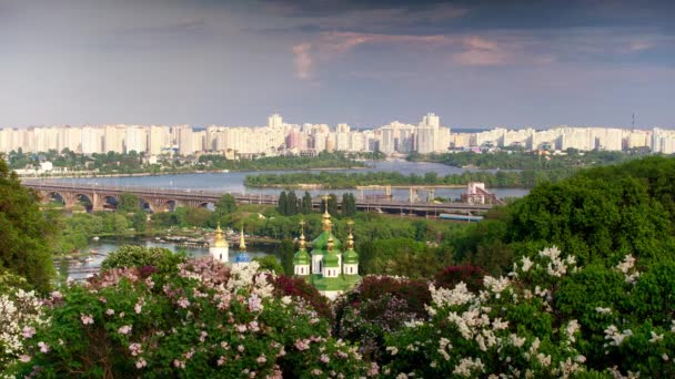 Kvetoucí šeříky v botanické zahradě. Kyjev. Timelapse. — Stock video