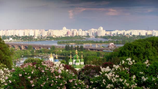 Lilla in fiore nell'orto botanico. Kiev. Timelapse . — Video Stock