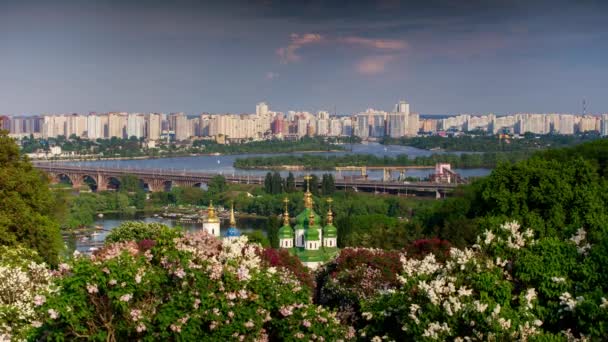 Blommande syrener i botaniska trädgården. Kiev. Timelapse. — Stockvideo