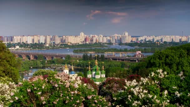 Blooming lilacs in the botanical garden. Kiev. Timelapse. — Stock Video