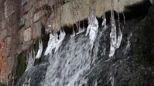Vodopád v zimě v Alexandrii park — Stock video