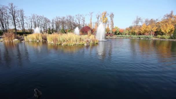 Janukovytj residence. Mezhyhiria. — Stockvideo