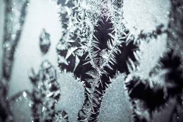 Зимові візерунки на вікні — стокове фото