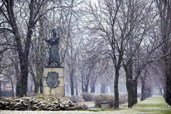 Monument i parken om vinteren. Bila Tserkva . - Stock-foto