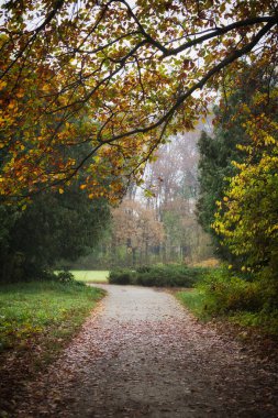 Sonbahar Park Aleksandriya