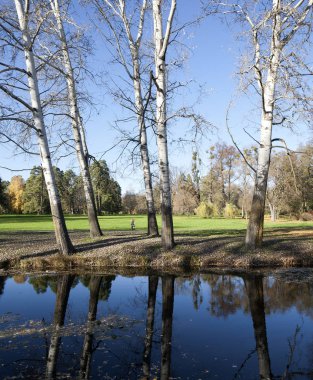 Sonbahar Park Aleksandriya