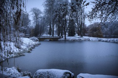 İskenderiye parkta yağıyor. Bila Tserkva.
