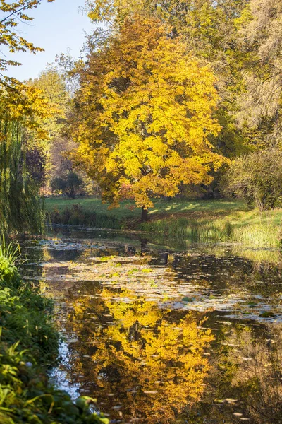 Autumn in park Aleksandriya — Stock Photo, Image