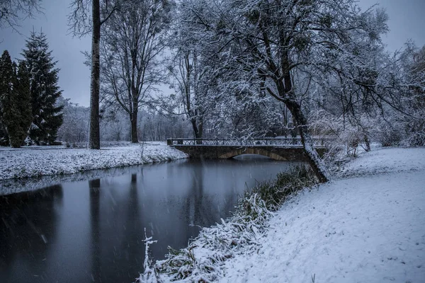 İskenderiye parkta yağıyor. Bila Tserkva.