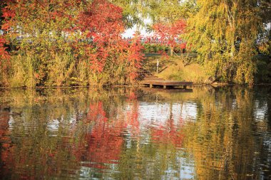 Ukrayna Viktor Y dördüncü başkanı eski köşkü