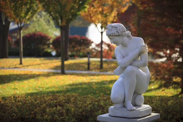 Ukrayna Viktor Y dördüncü başkanı eski köşkü