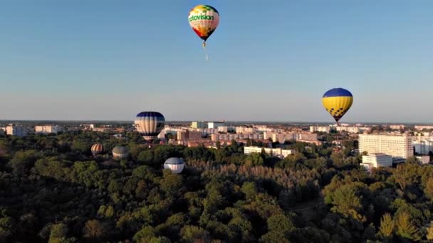 Beautiful Balloons Fly Forest Park City — Stockvideo