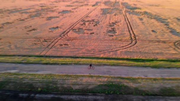 Homem Pôr Sol Monta Uma Bicicleta Longo Campo Trigo Amarelo — Vídeo de Stock