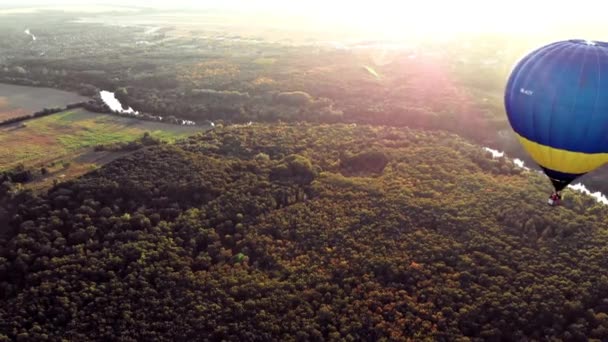 Gyönyörű Lufik Repülnek Erdő Park Város Felett — Stock videók