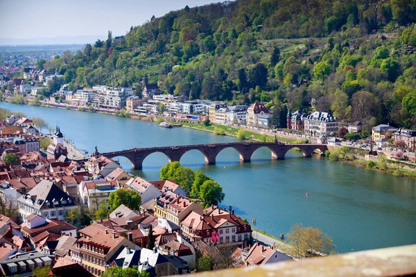 Denní Pohled Heidelberg Výšky Most Řeka Necka Staré Město Stromy — Stock fotografie