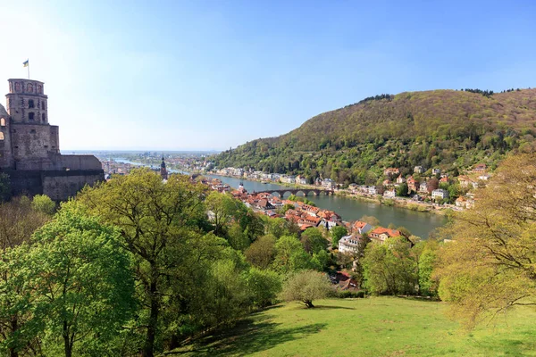Vue Jour Heidelberg Depuis Une Hauteur Pont Rivière Necka Vieille — Photo
