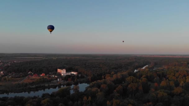 Όμορφα Μπαλόνια Πετούν Πάνω Από Δάσος Πάρκο Πόλη — Αρχείο Βίντεο