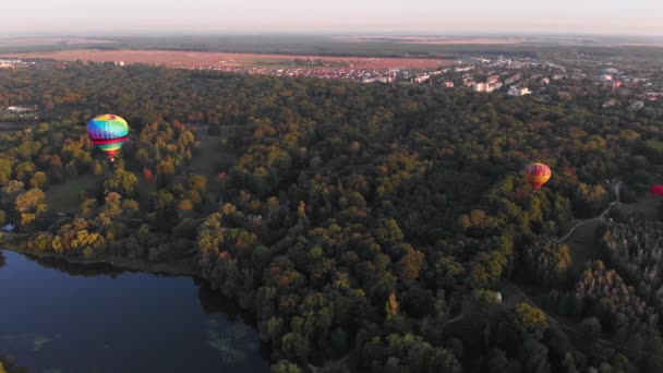 Hermosos Globos Vuelan Sobre Bosque Parque Ciudad — Vídeo de stock